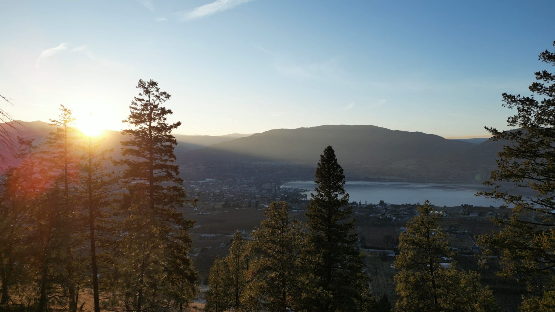 Sunrise over Penticton and Okanagan Lake from the hillside, framed by ponderosa pines