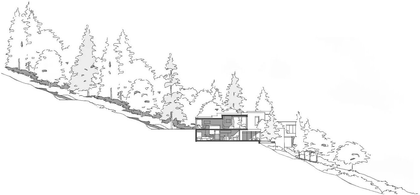 Architectural section sketch of a custom hillside home nestled into a forested slope by Parallel 50 Construction