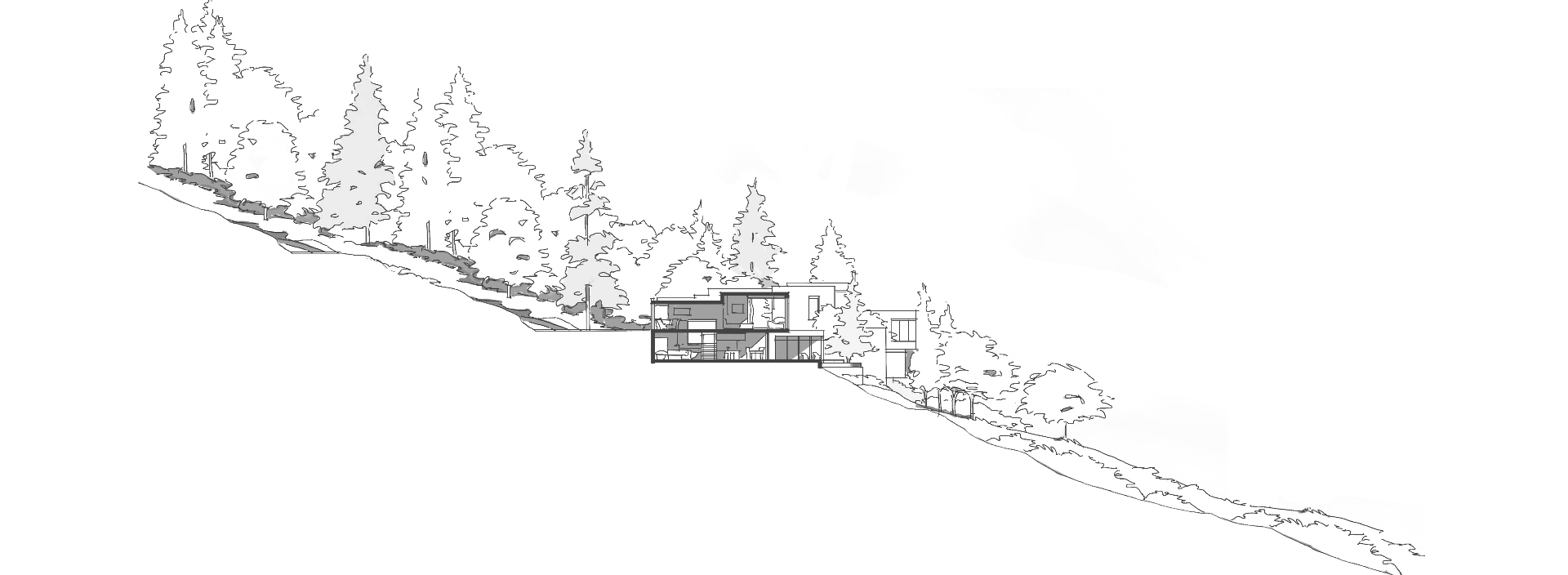 Architectural section sketch of a modern home set into a forested hillside slope.